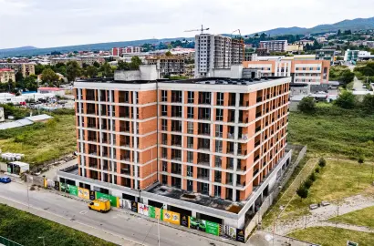 Telavi Palace • Телави Palace