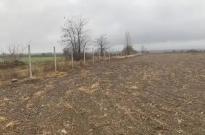 მიწის ნაკვეთი ნაფარეულში