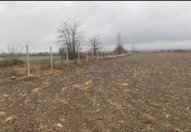 მიწის ნაკვეთი ნაფარეულში