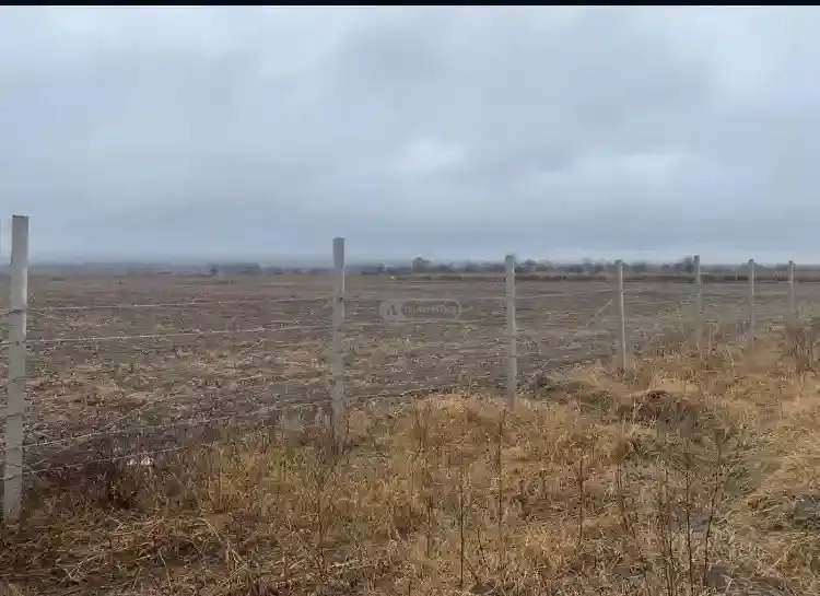 მიწის ნაკვეთი ნაფარეულში