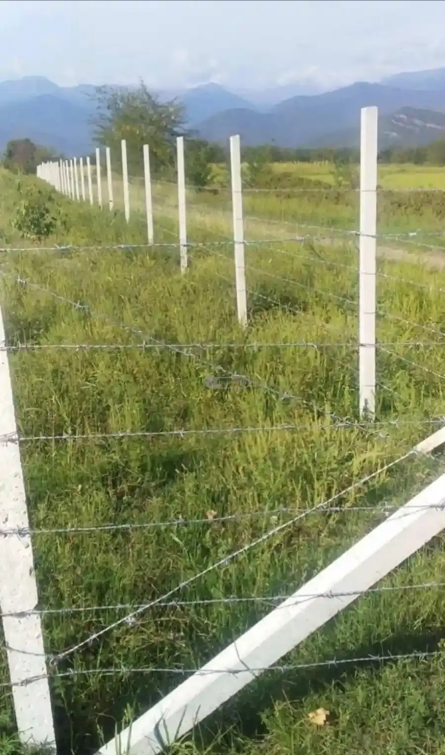 მიწის ნაკვეთი ნაფარეულში