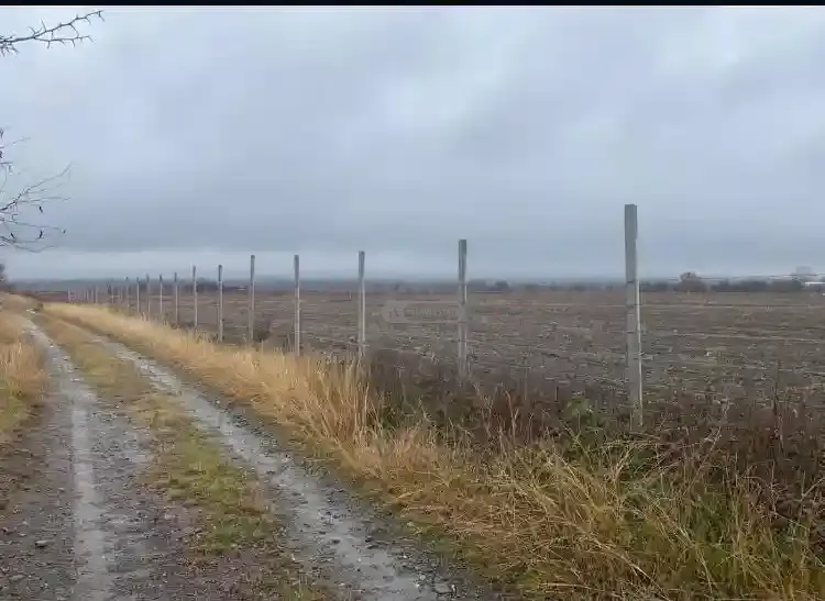 მიწის ნაკვეთი ნაფარეულში