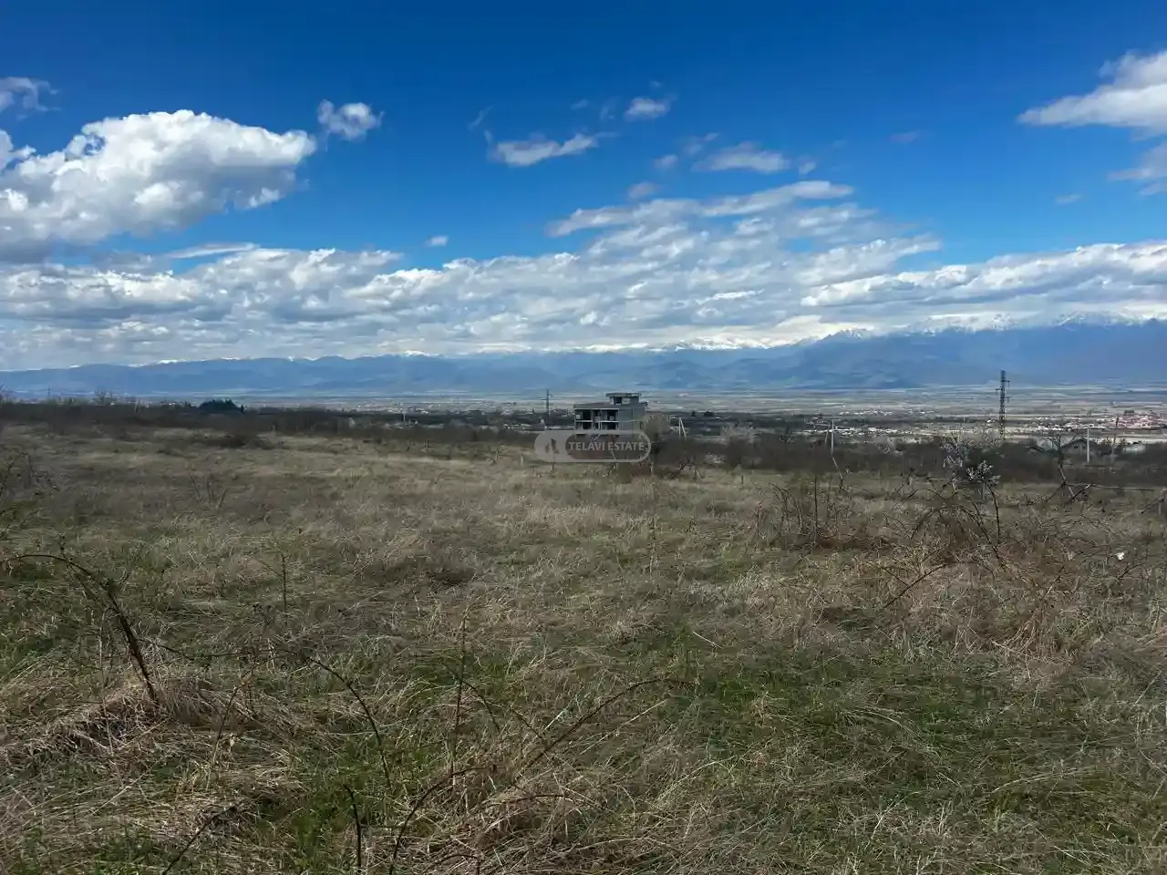 მიწის ნაკვეთი ვარდისუბანში