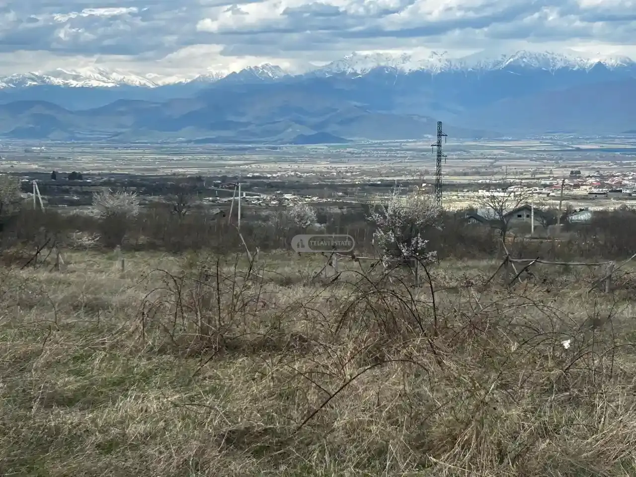 მიწის ნაკვეთი ვარდისუბანში