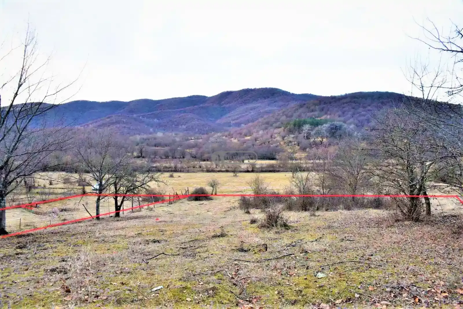 Land Plot for Sale in Telavi, Lapankuri