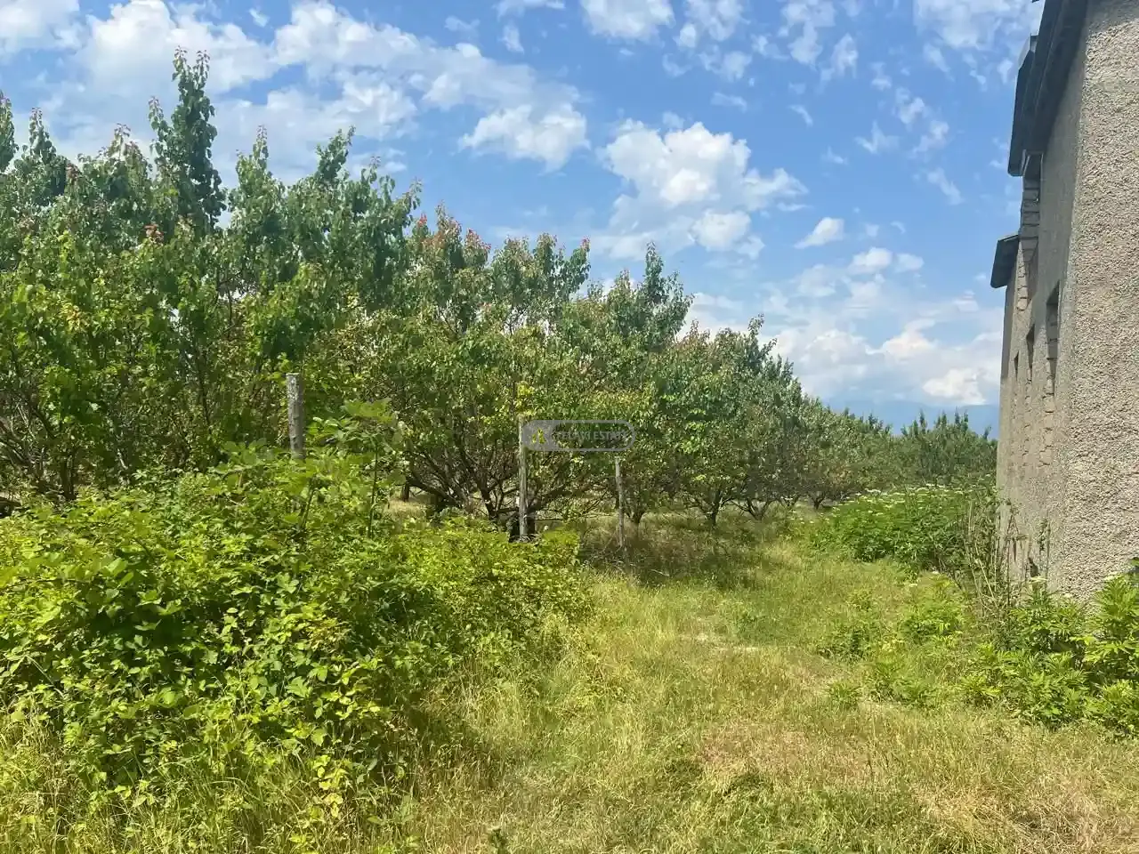 Дом в Руиспири