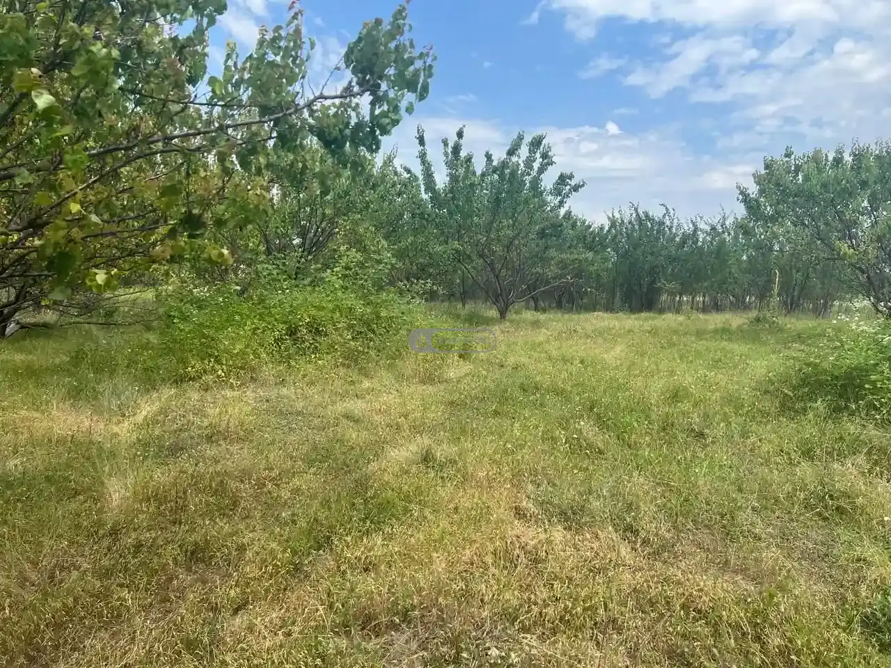 Дом в Руиспири