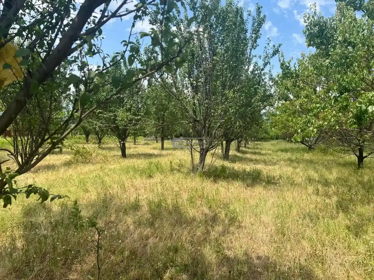 Дом в Руиспири