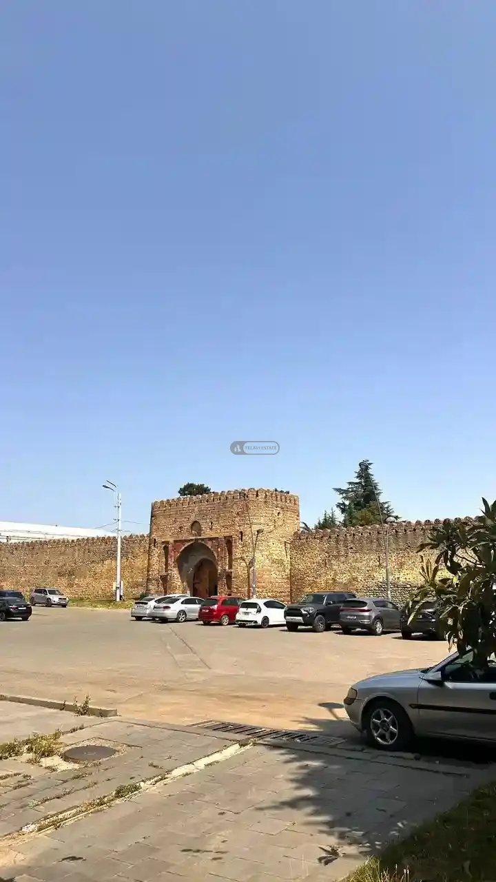 კომერციული ფართი თელავში