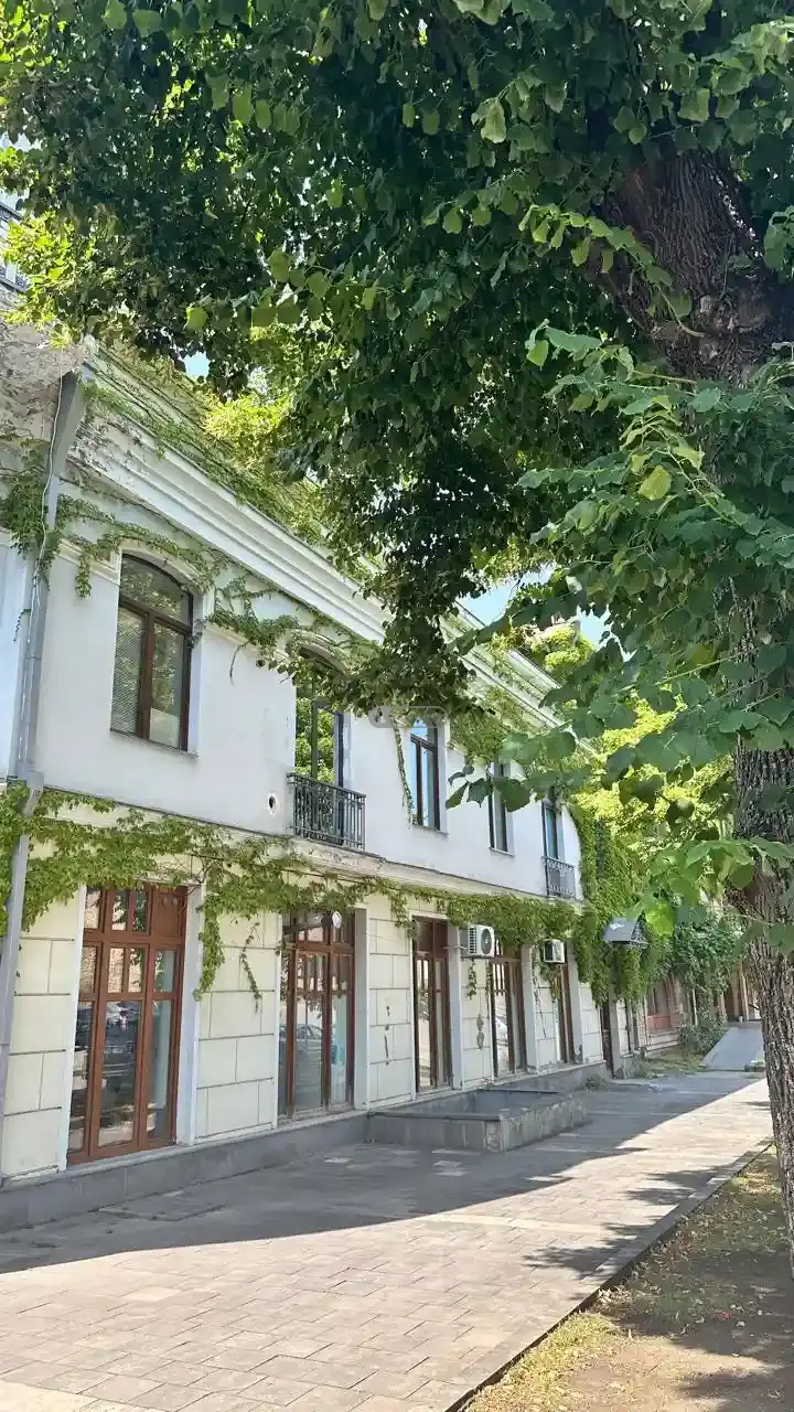 კომერციული ფართი თელავში