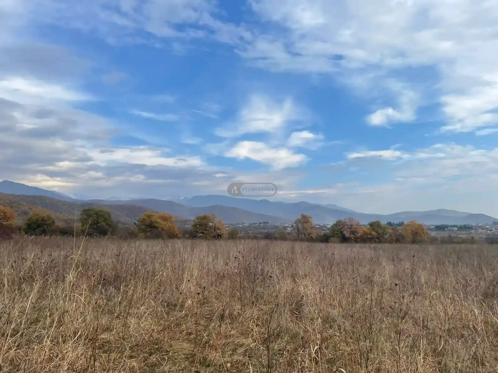 მიწის ნაკვეთი გრემში