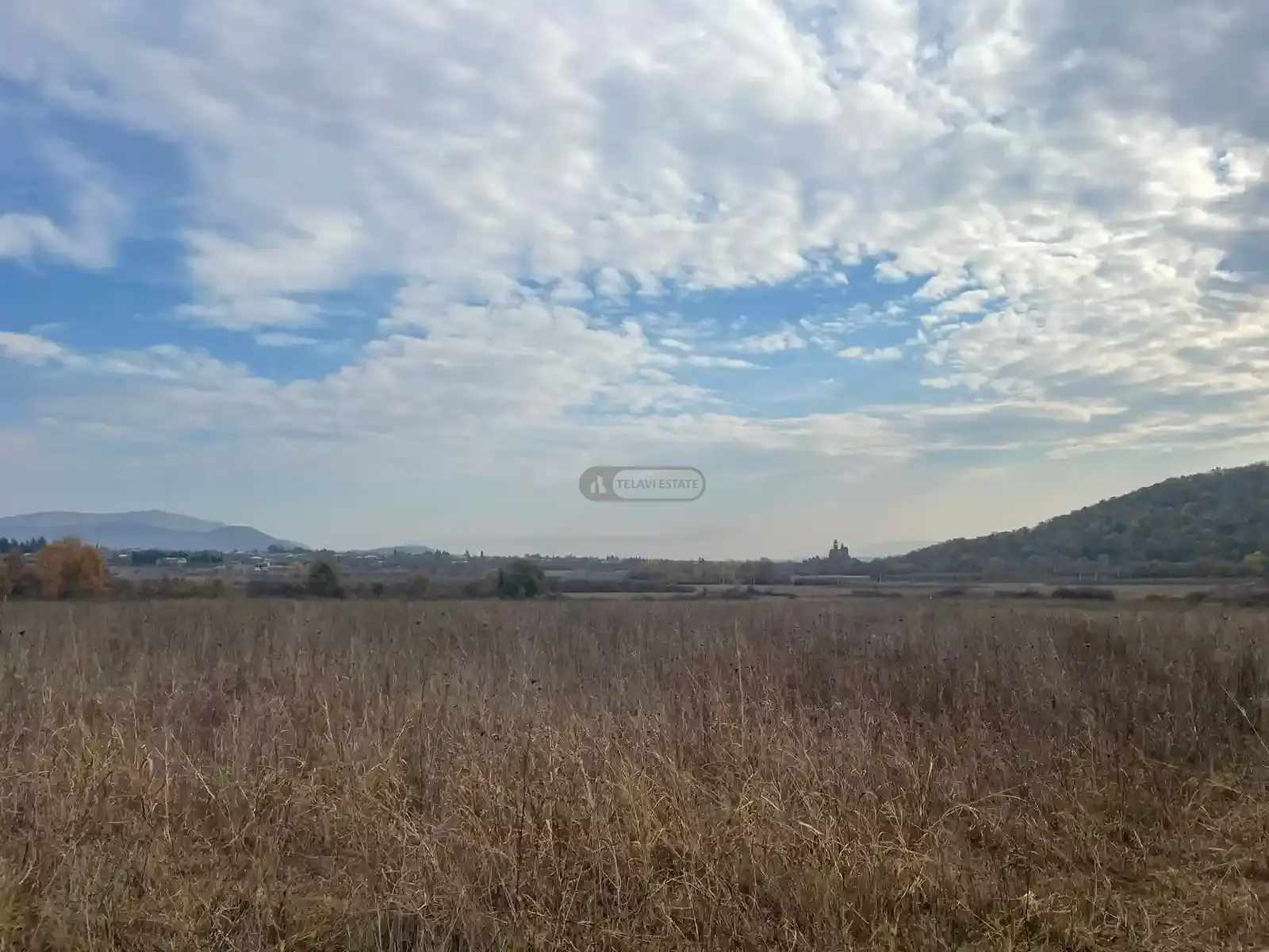 მიწის ნაკვეთი გრემში