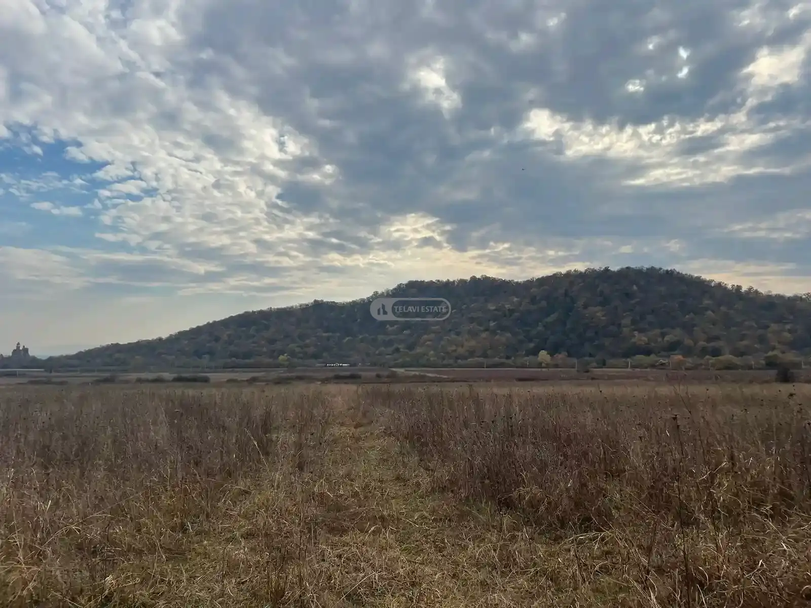 მიწის ნაკვეთი გრემში