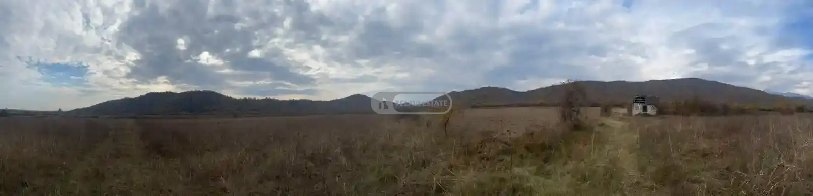 მიწის ნაკვეთი გრემში