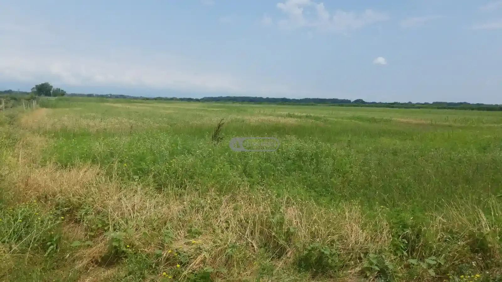 Land Plot in Chandari
