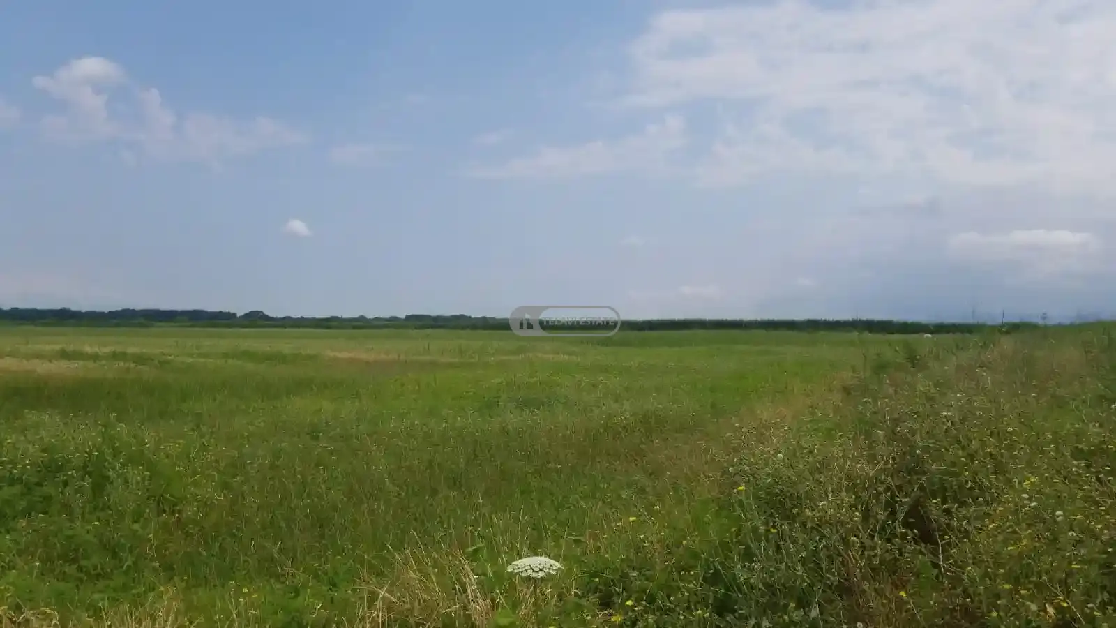 Land Plot in Chandari