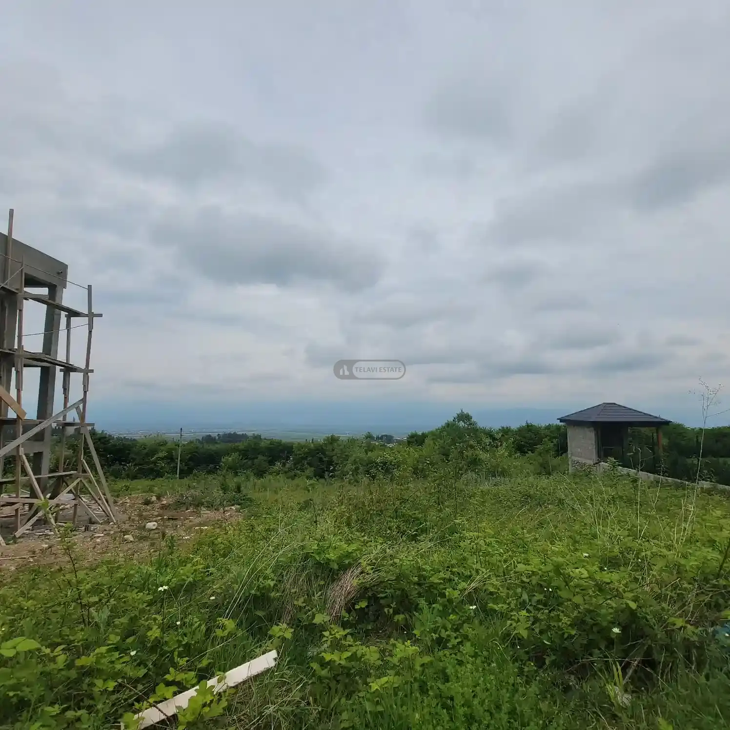 მიწის ნაკვეთი თელავში - ზუზუმბო