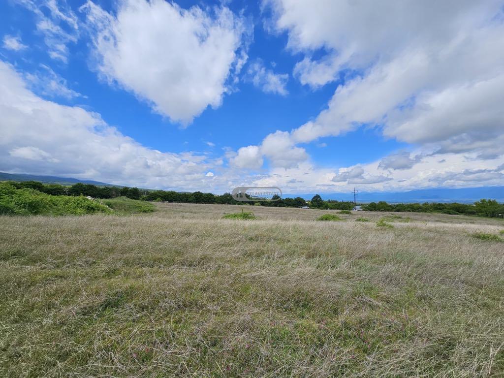 მიწის ნაკვეთი შალაურში