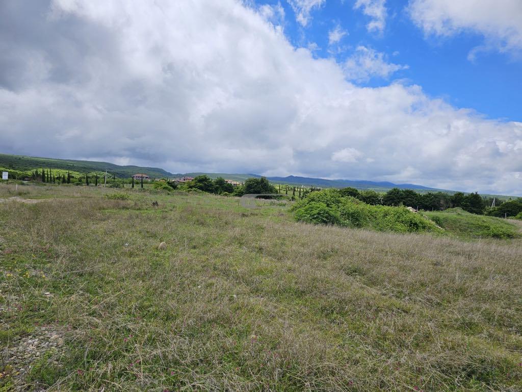 მიწის ნაკვეთი შალაურში