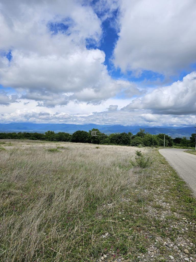 მიწის ნაკვეთი შალაურში