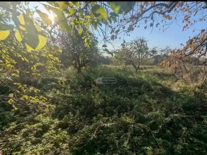 Земельный участок в Напареули