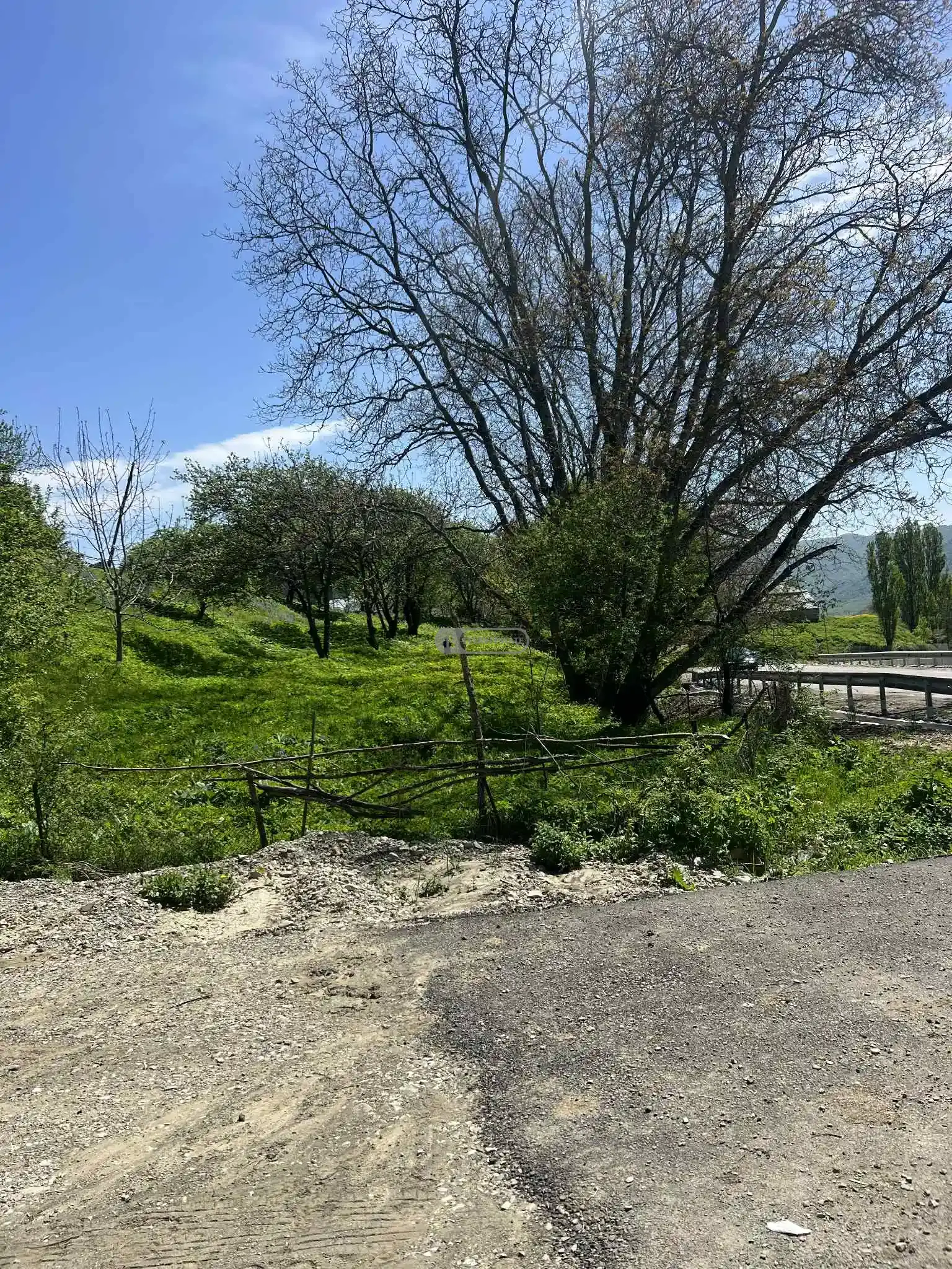 Land plot in Kobadze