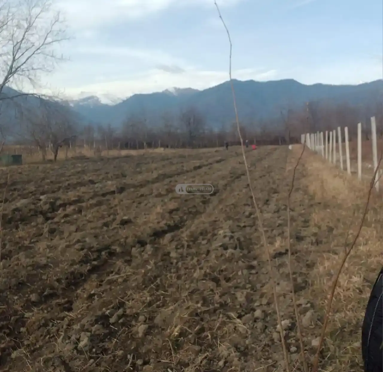 Продается земельный участок в Кварели
