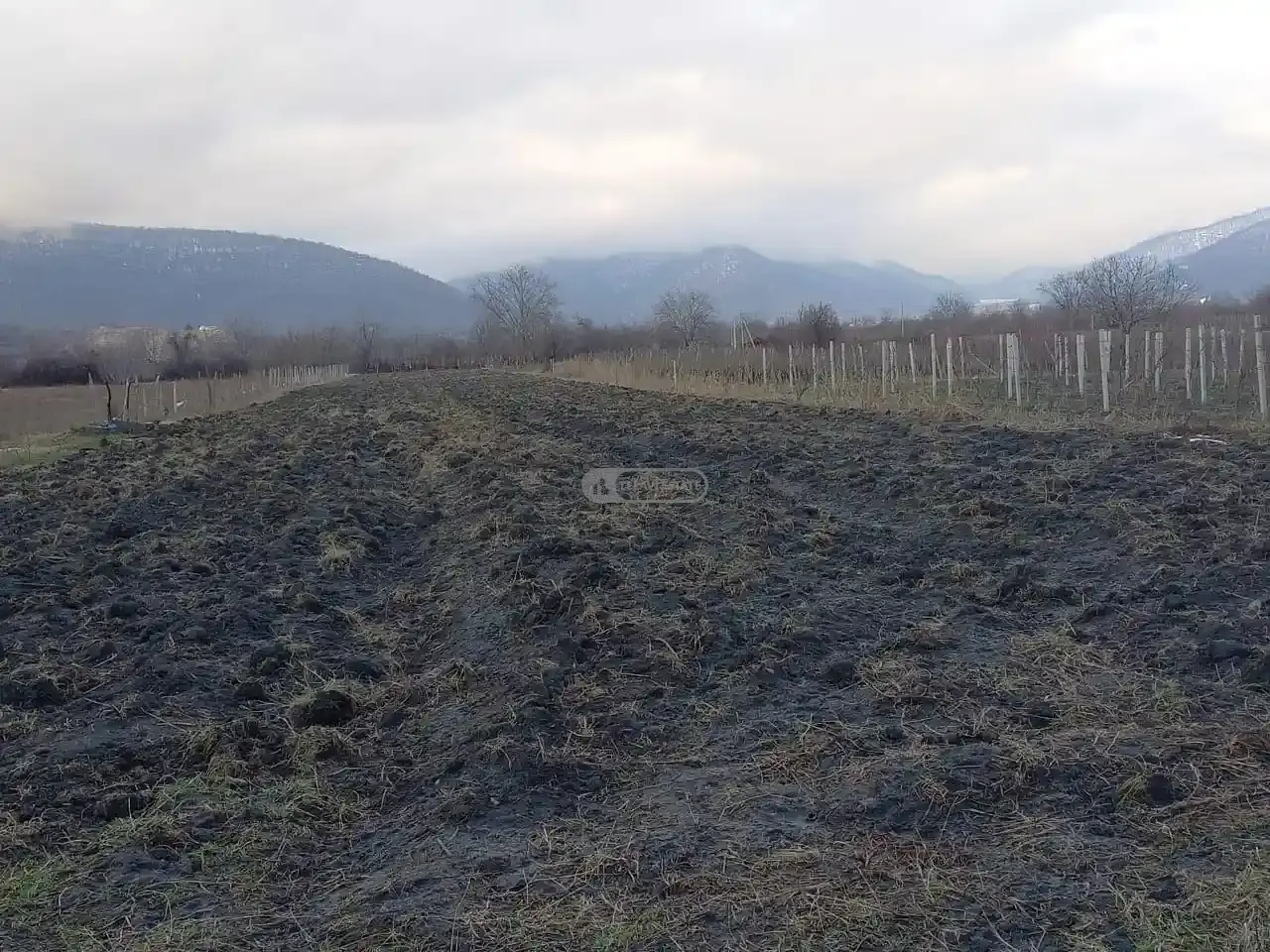 Продается земельный участок в Кварели