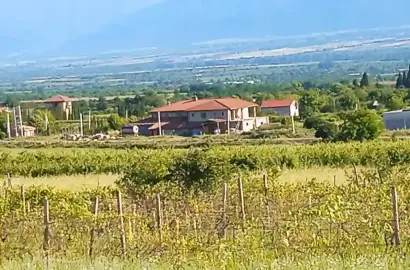 მიწის ნაკვეთი კისისხევში