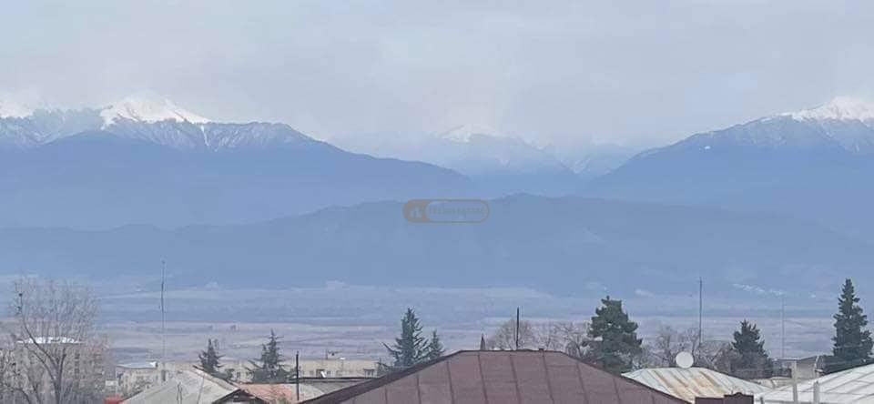 Elevated House with Attic in Telavi