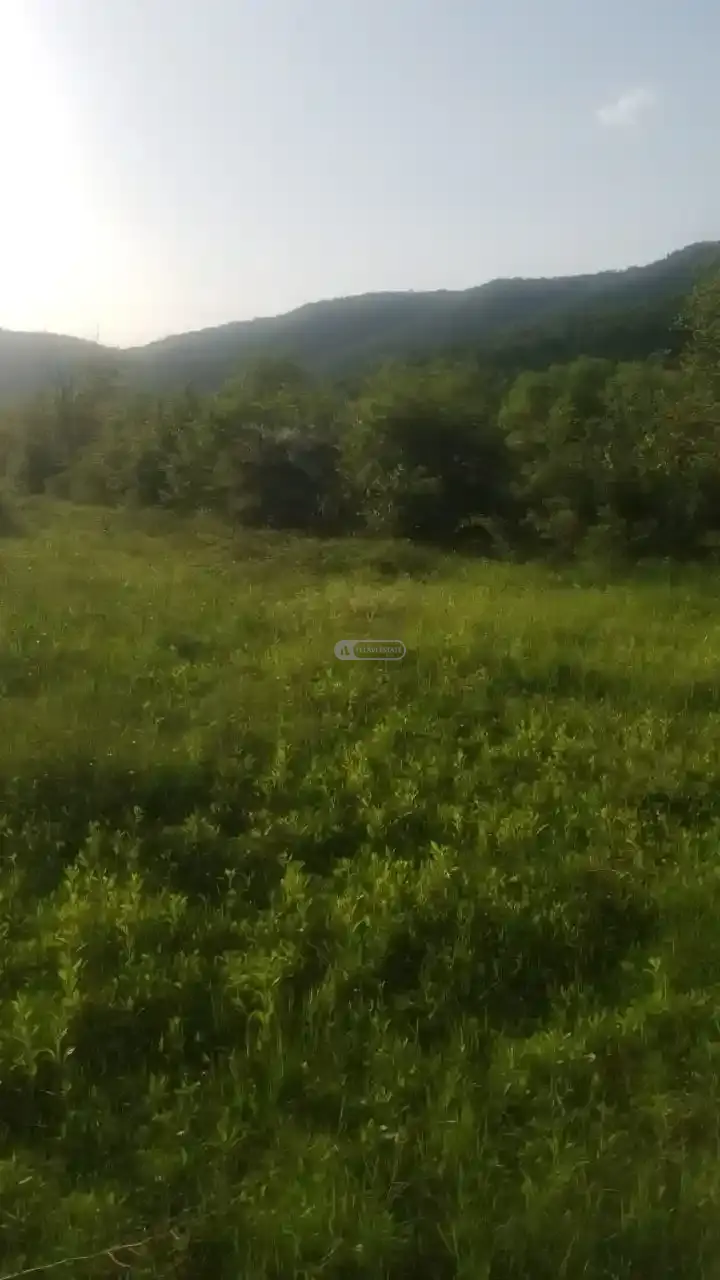 Land for Sale in Gremi