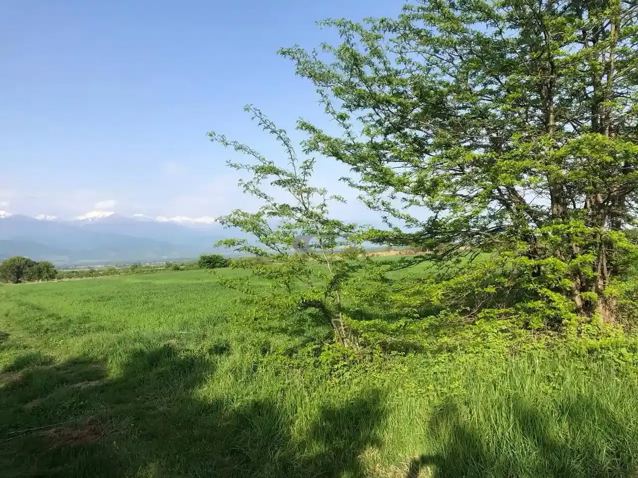 Продаётся земельный участок в Вардиcубани