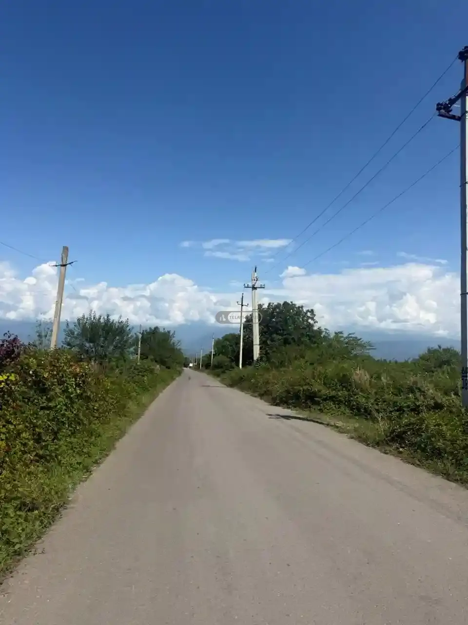 მიწის ნაკვეთი რუისპირში