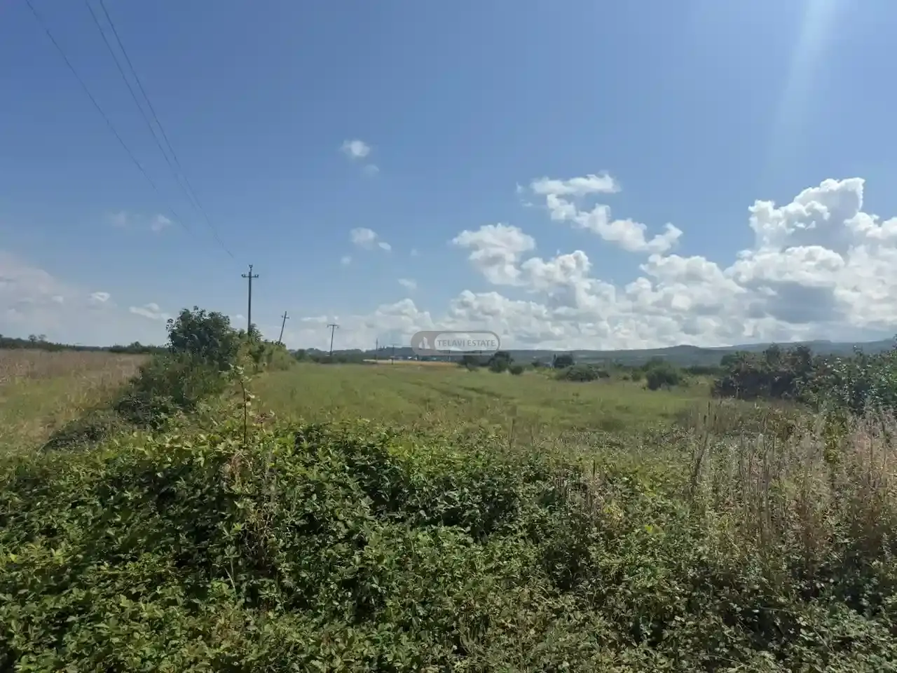 მიწის ნაკვეთი რუისპირში