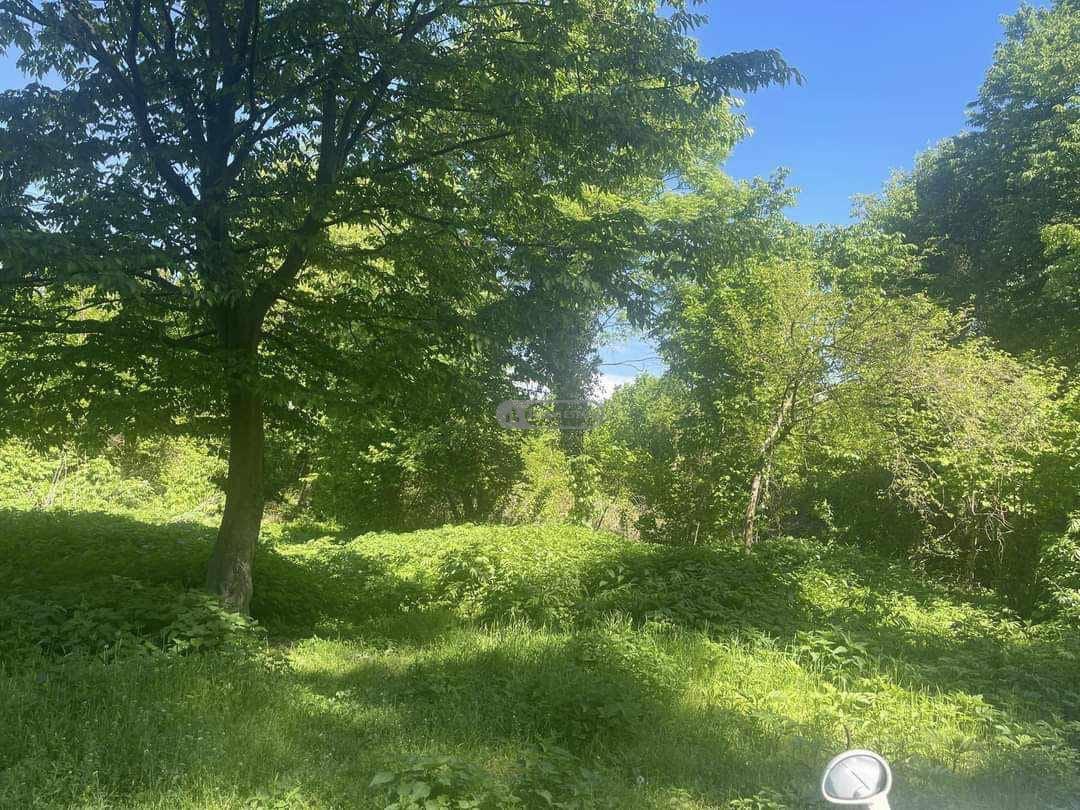 Reservoirs in Tsinandali village