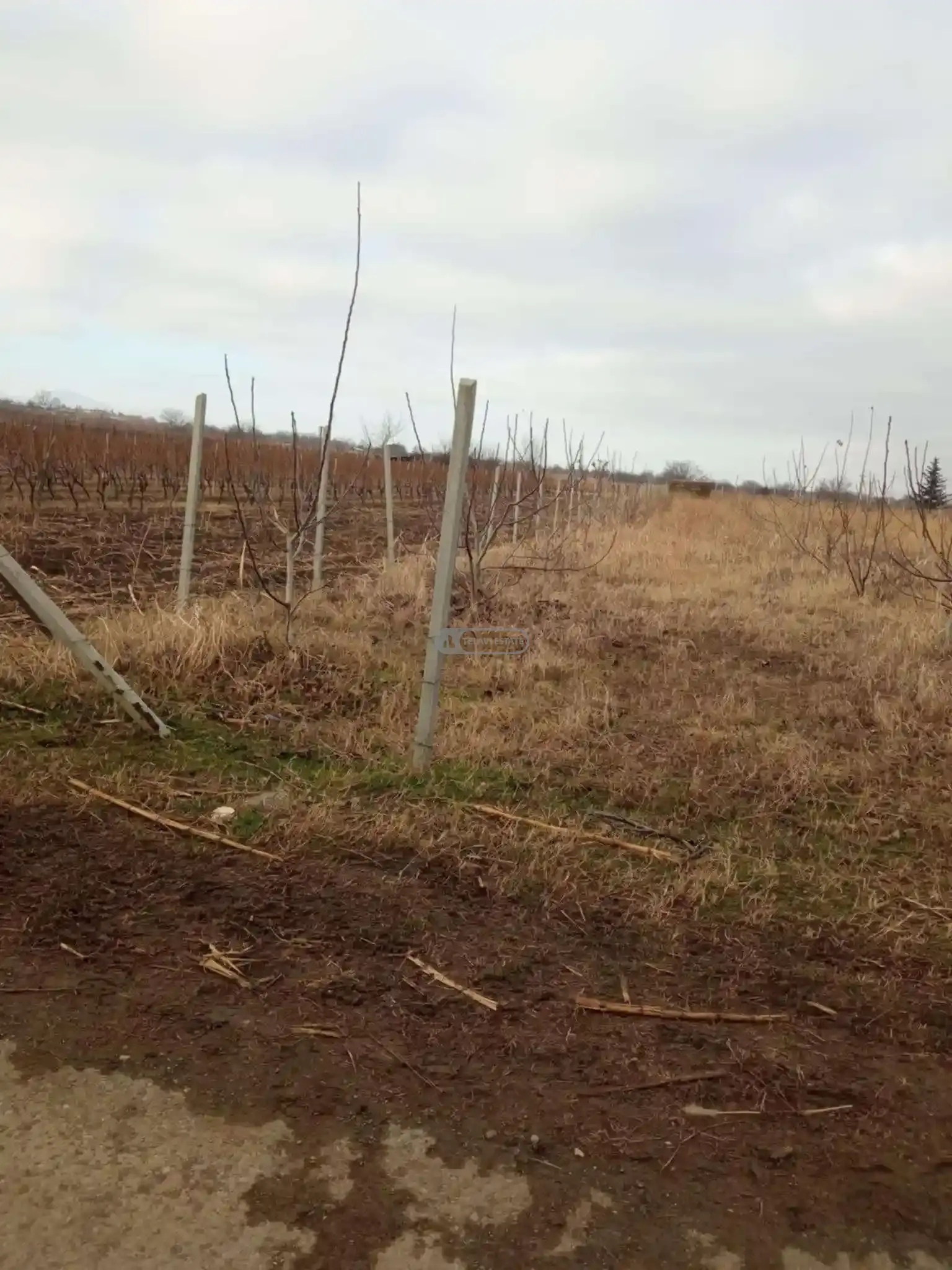 Land Plot in Kurdgelauri Village