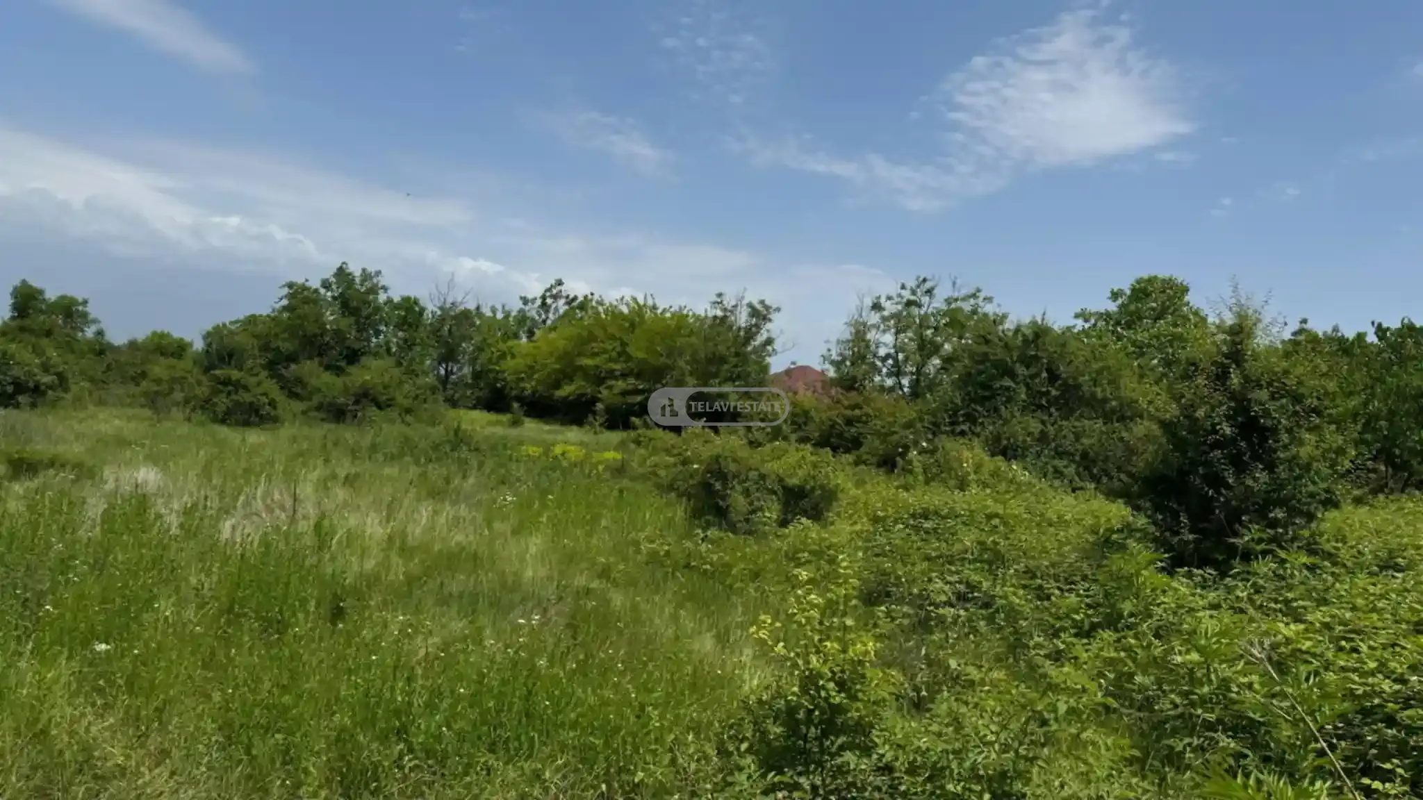 Land Plot for Sale in Ruispiri