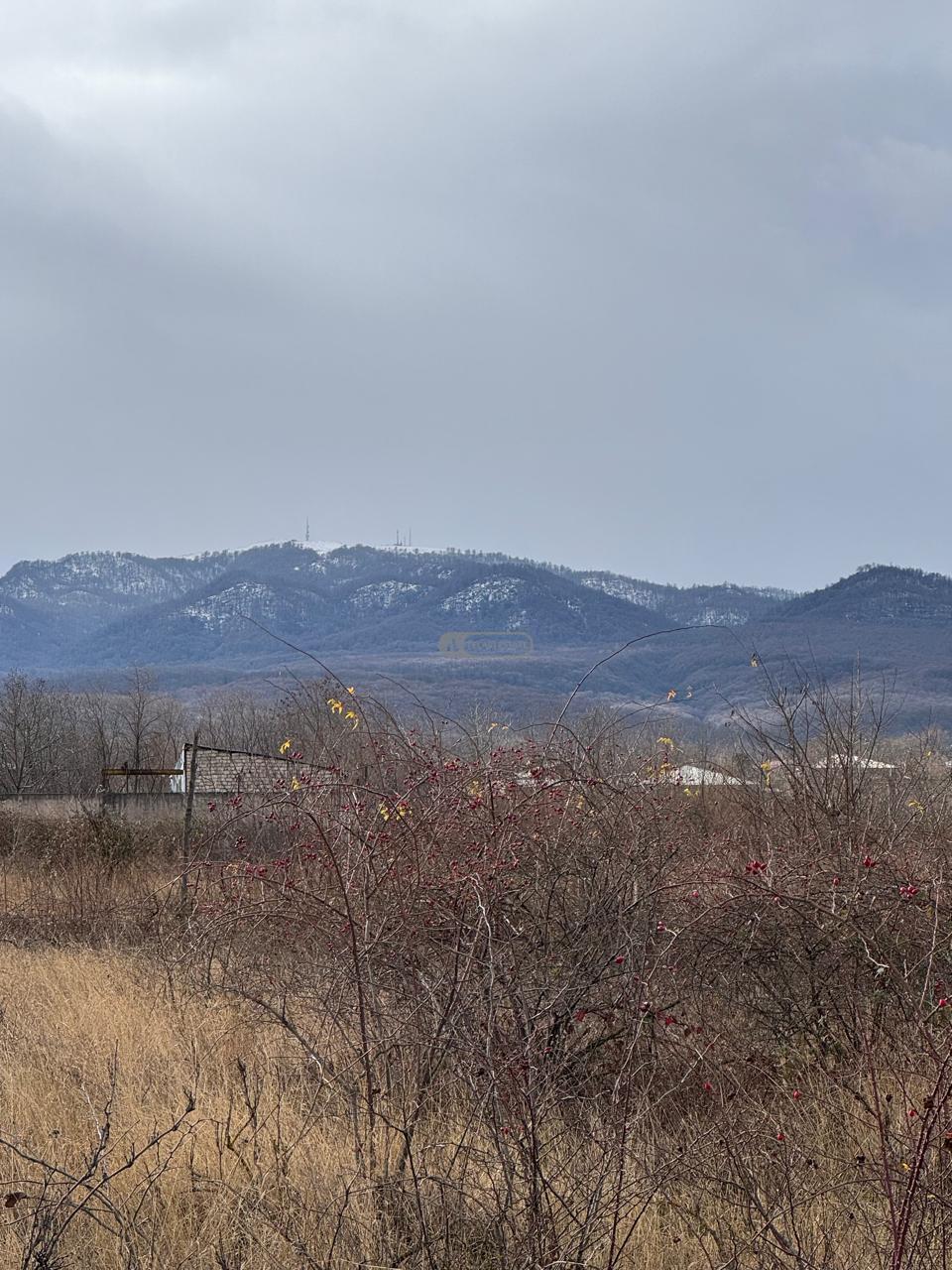 Land Plot in Vardisubani