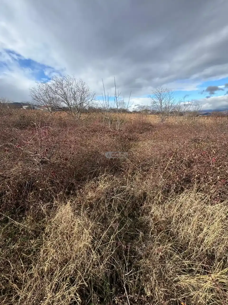 Land Plot in Vardisubani