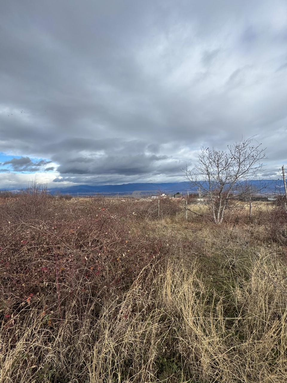 Land Plot in Vardisubani