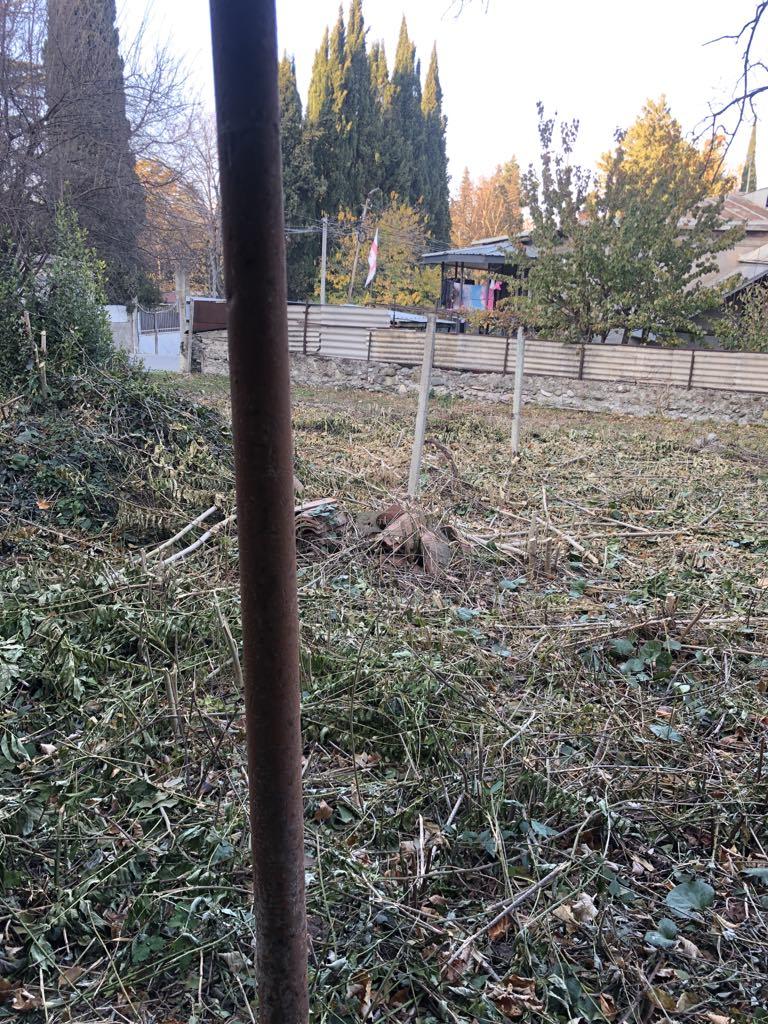 Land Plot in Tsinandali