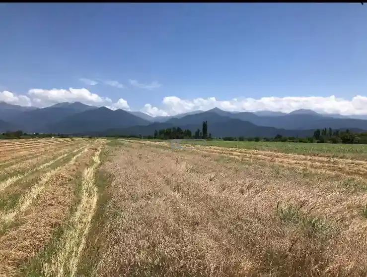 Land plot in Akhalsopeli