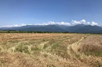 Land plot in Akhalsopeli
