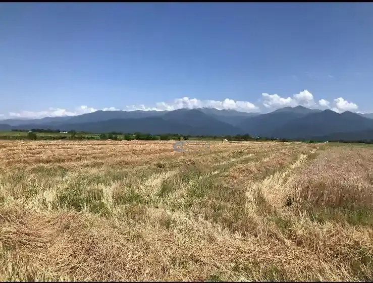 Land plot in Akhalsopeli