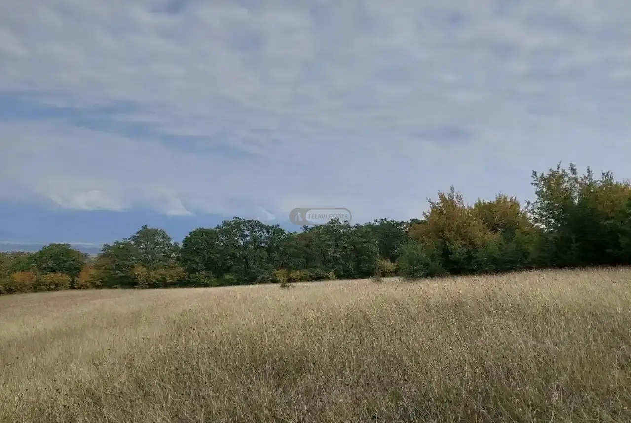 მიწის ნაკვეთი იყალთოში