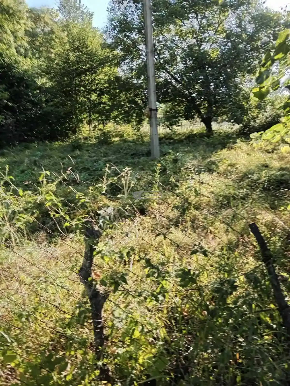 მიწის ნაკვეთი ვარდისუბანში