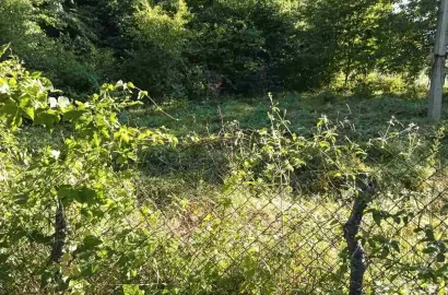 მიწის ნაკვეთი ვარდისუბანში