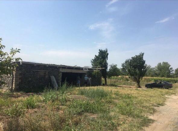 ვენახი ყვარლის მუნიციპალიტეტში