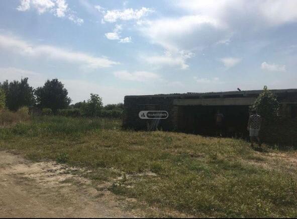 ვენახი ყვარლის მუნიციპალიტეტში