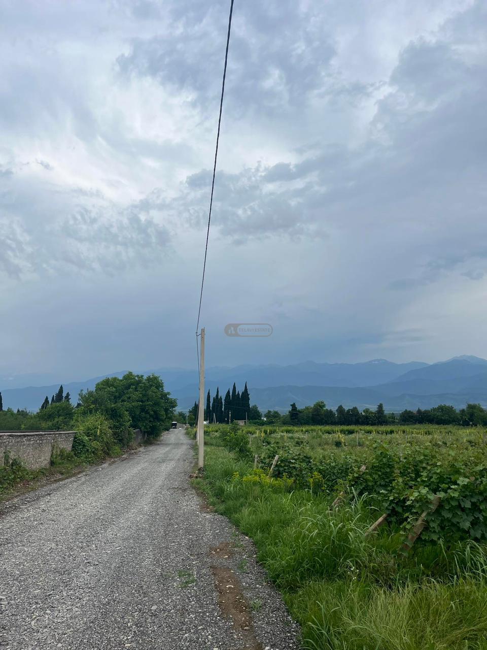 მიწის ნაკვეთი სოფელ ნასამხრალში